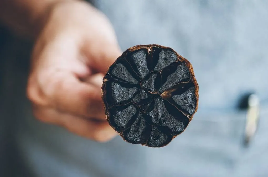 Alho Negro do Sítio