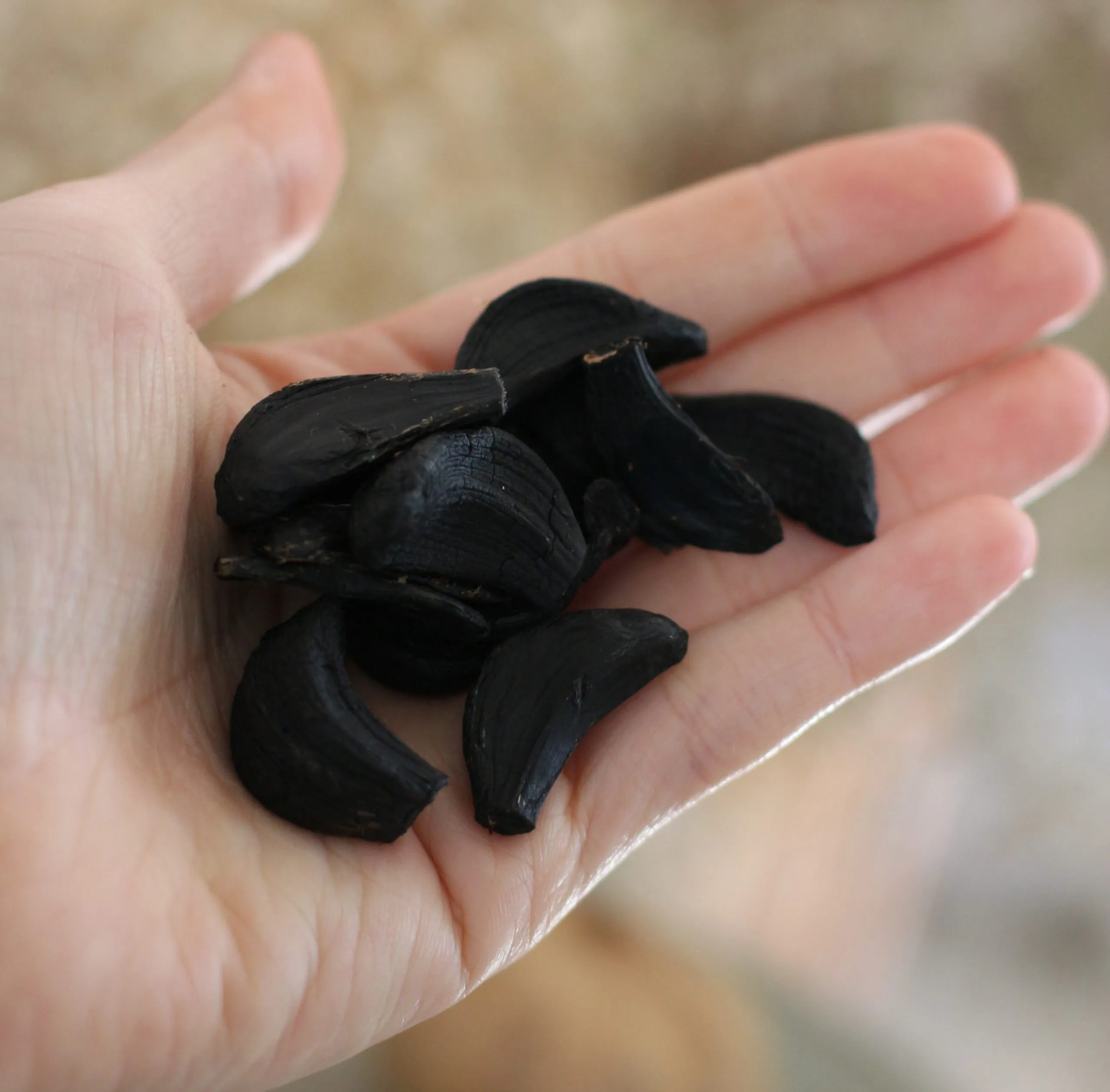 Alho Negro Descascado Artesanal 100g - Imagem 8