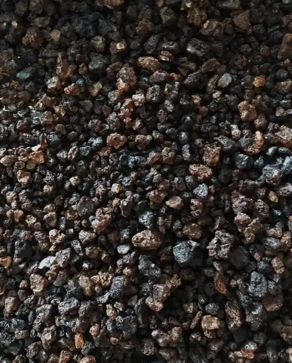 Sal de Umami de Alho Negro 350g