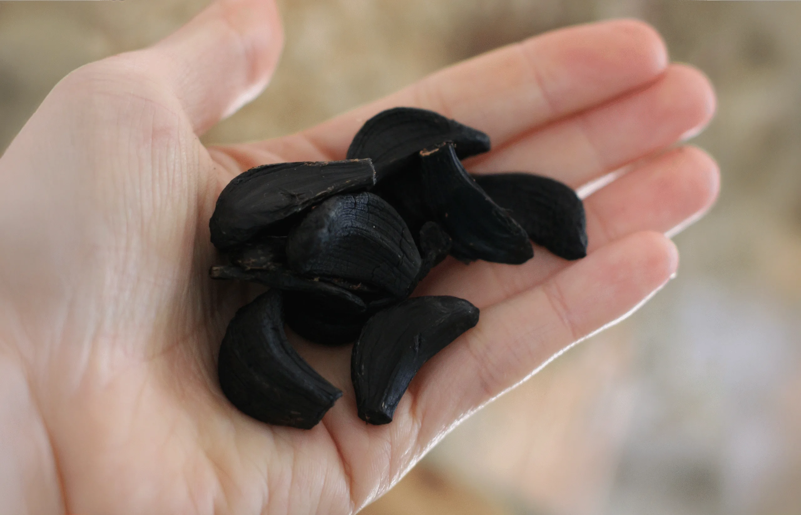 Alho Negro Descascado e Solto 500g - Imagem 3