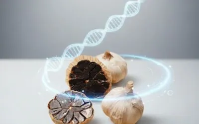 O poder dos compostos bioativos do Alho Negro