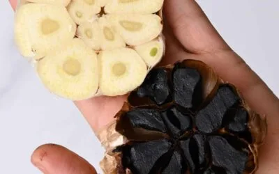 A essência de um ingrediente extraordinário: a transformação do alho negro